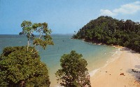砂浜